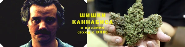 гашик Нефтегорск