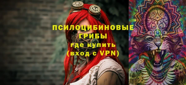 прущая мука Нея