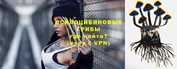 гашик Нефтегорск
